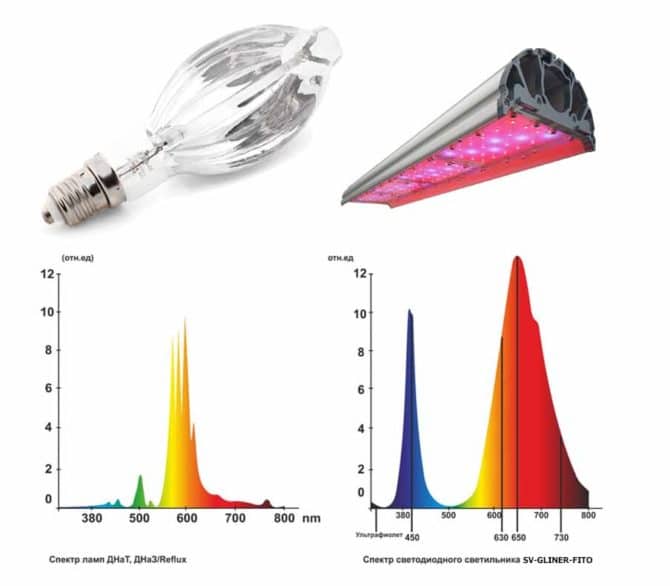 Comparatif sur corps d'éclairage HPS et phyto