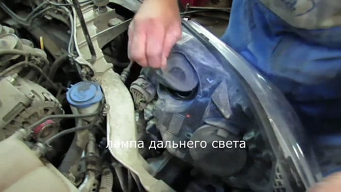 Premahvane sur le tronc