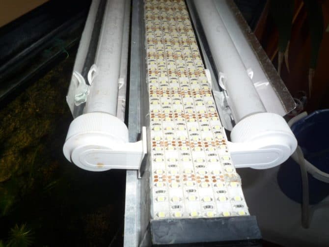 Eclairage derrière l'aquarium "direct si yourself"