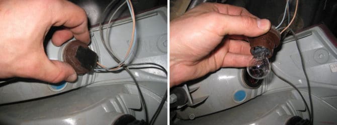 nid pour arrêter svetlina