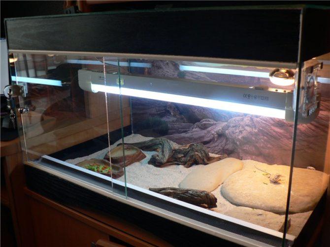 chauffage dans le terrarium