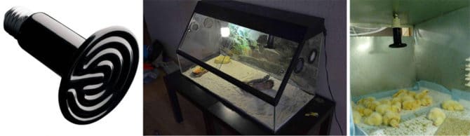 lampe en céramique pour le chauffage 25 W