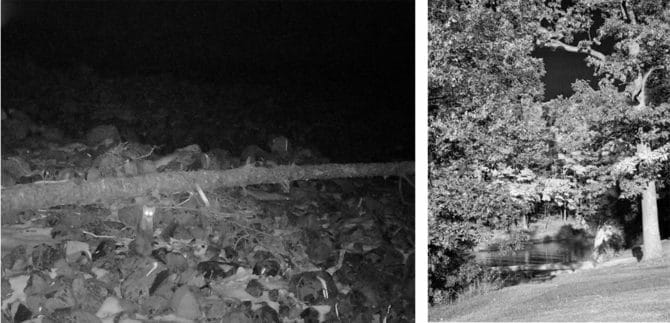 s'endormir sous un projecteur infrarouge