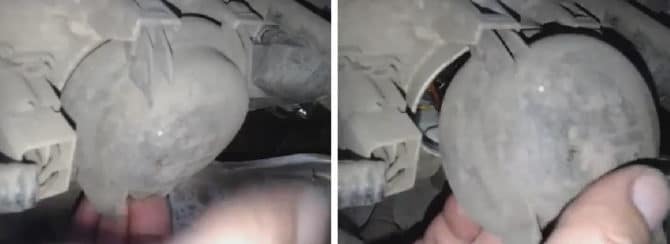 trappe sur kasi svetlini