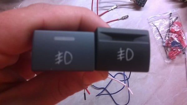 bourgeon de gazelle PTF