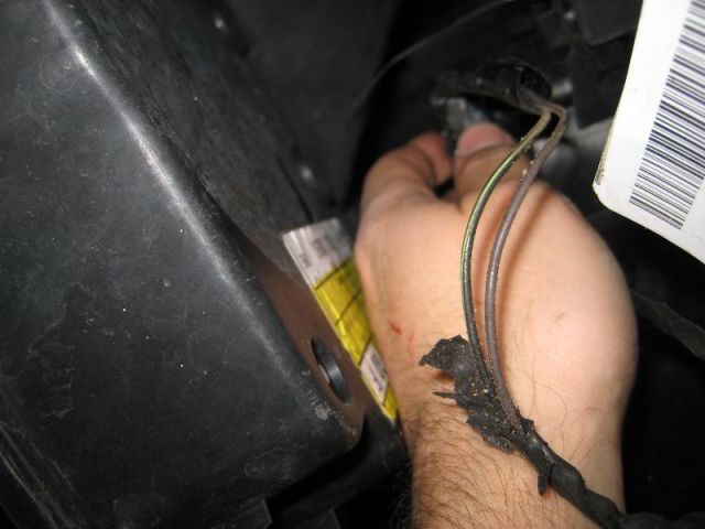 phares pour la brume