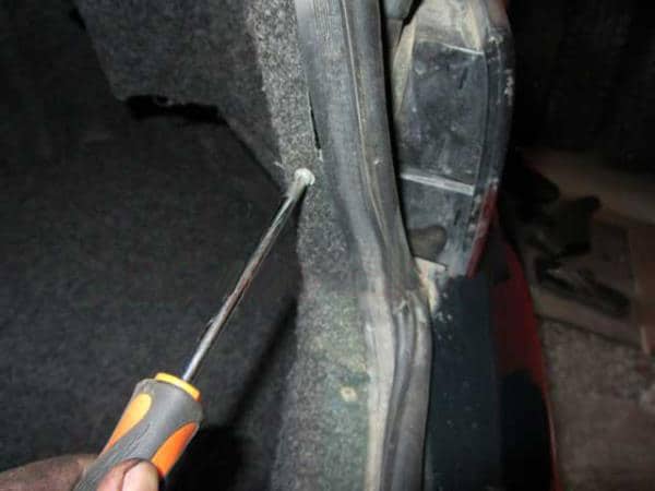 taperia sur le tronc