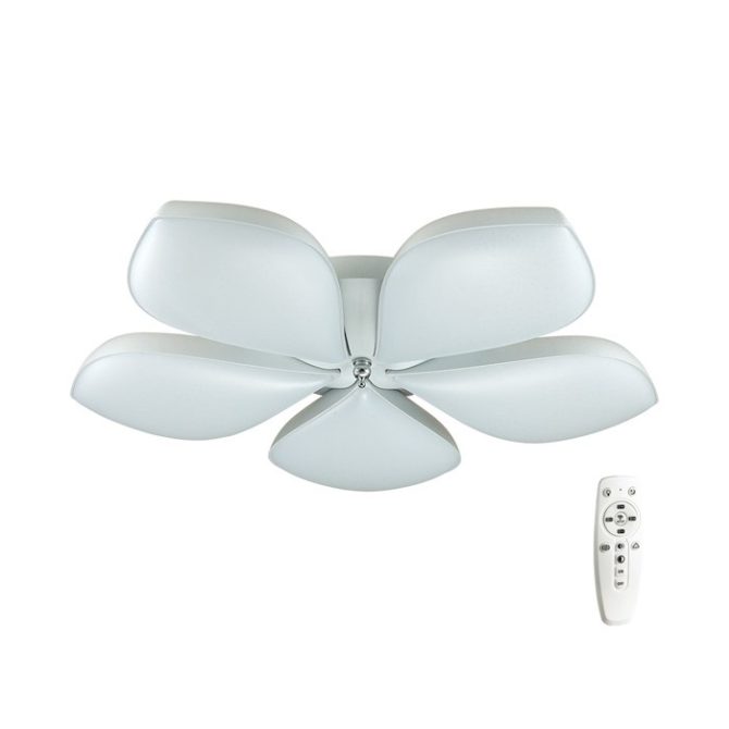 Sélection sur le polylay avec le panneau de contrôle