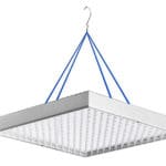 Quel genre de clarification pour les semis, oui, choisissez gentiment