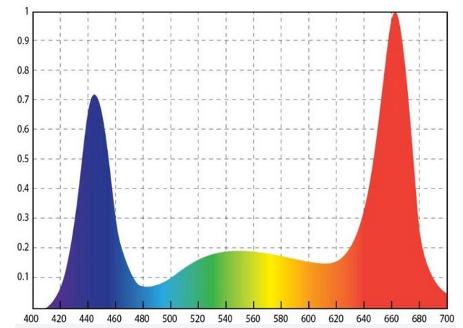 Quel genre de clarification pour les semis, oui, choisissez gentiment