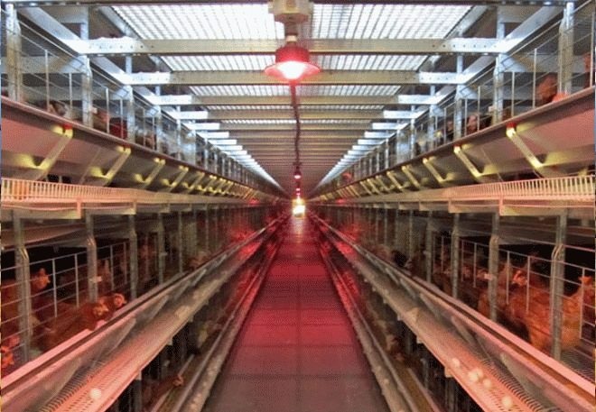 Comment pouvons-nous choisir une lampe d'un kokosharnik rouge et comment pouvons-nous l'utiliser